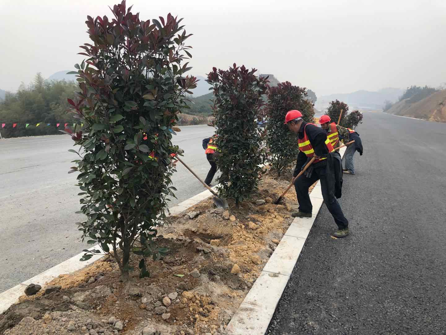aae35105fd13c50e1e1026459053fc85.jpg 微信圖片_20200312143739.jpg