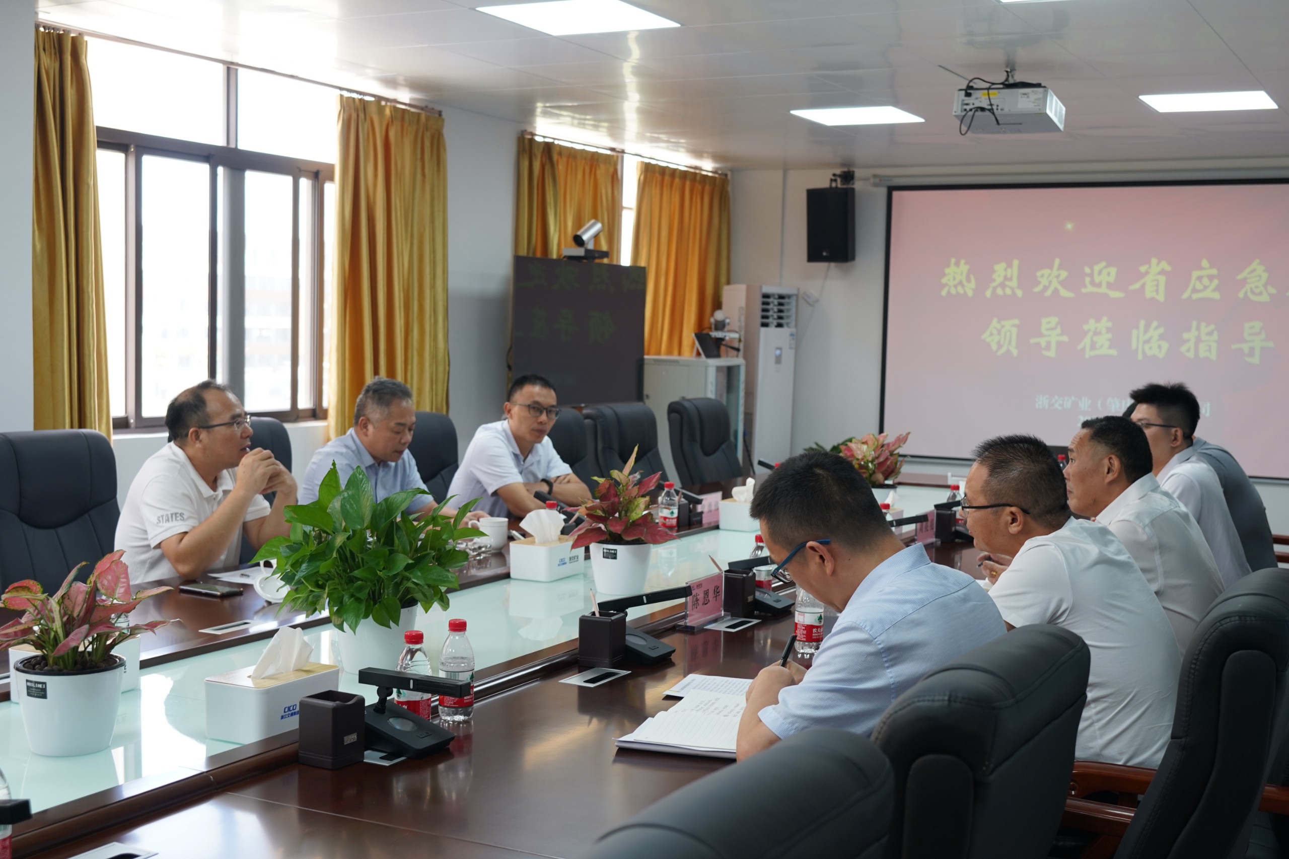 廣東省應急廳領導調研指導肇慶礦.jpg