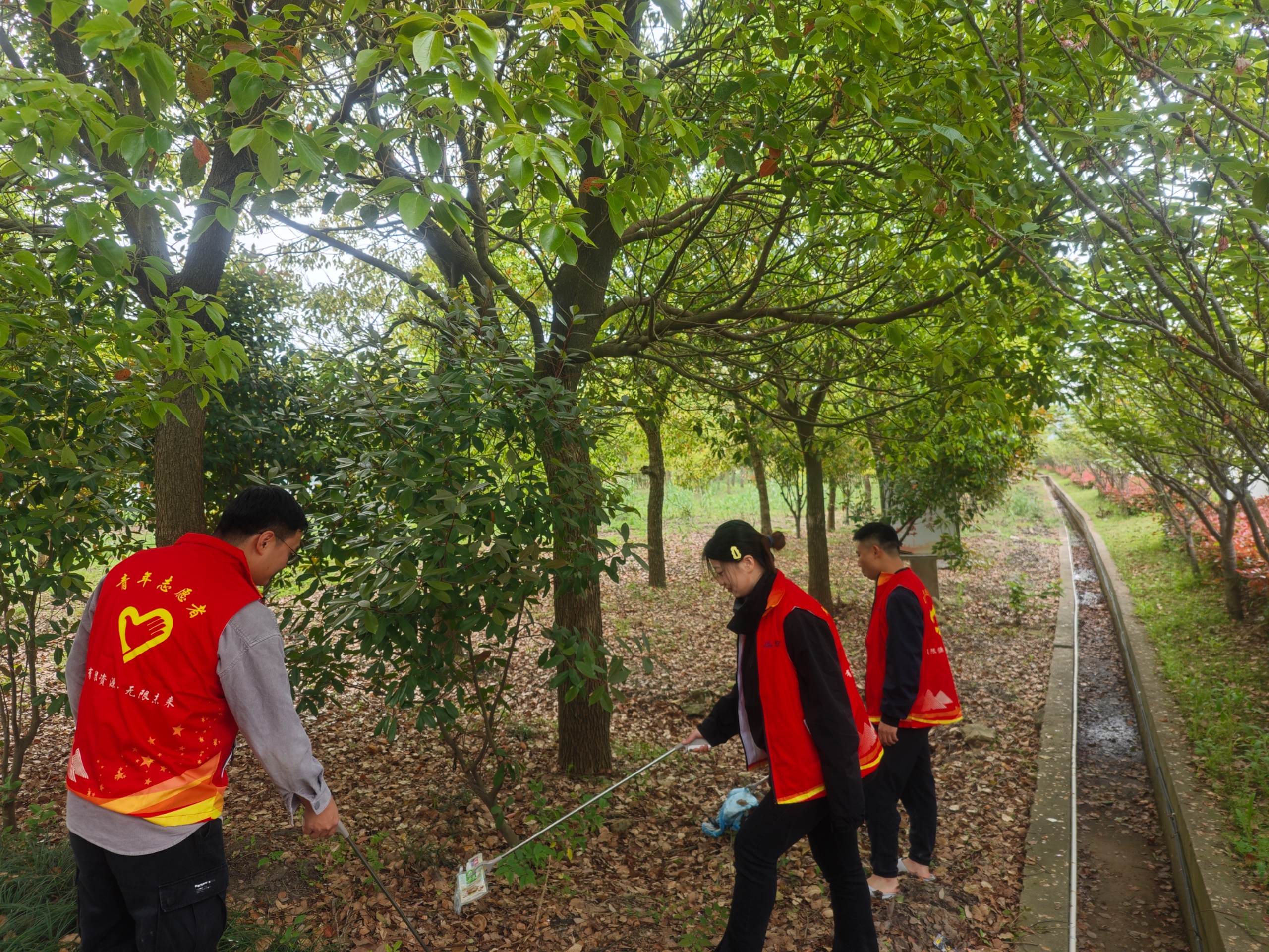3ac0fb2efc8378331846b0ece3b0b92f.jpg 交投礦業志願服務.jpg