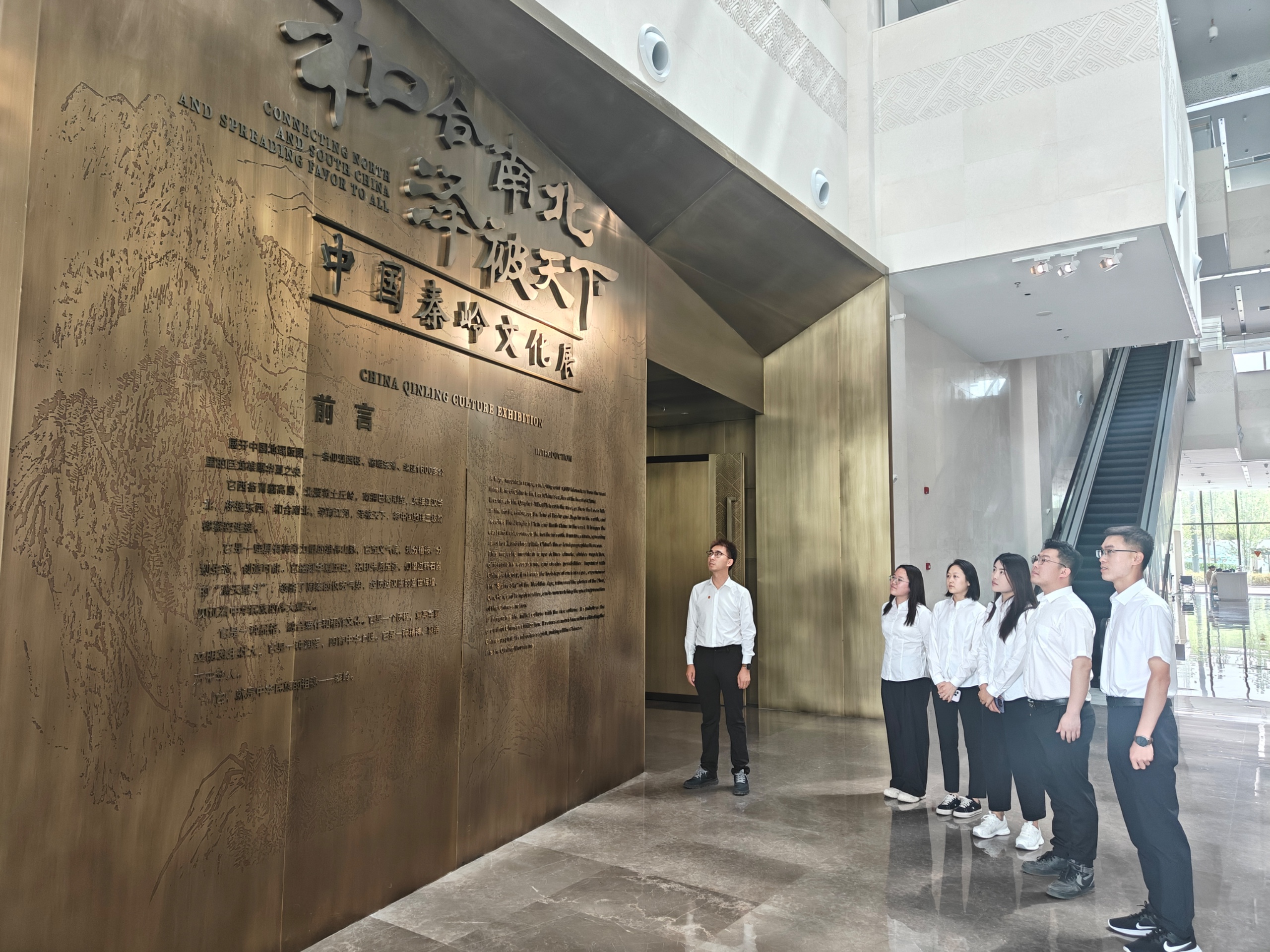 5.秦新礦業.jpg