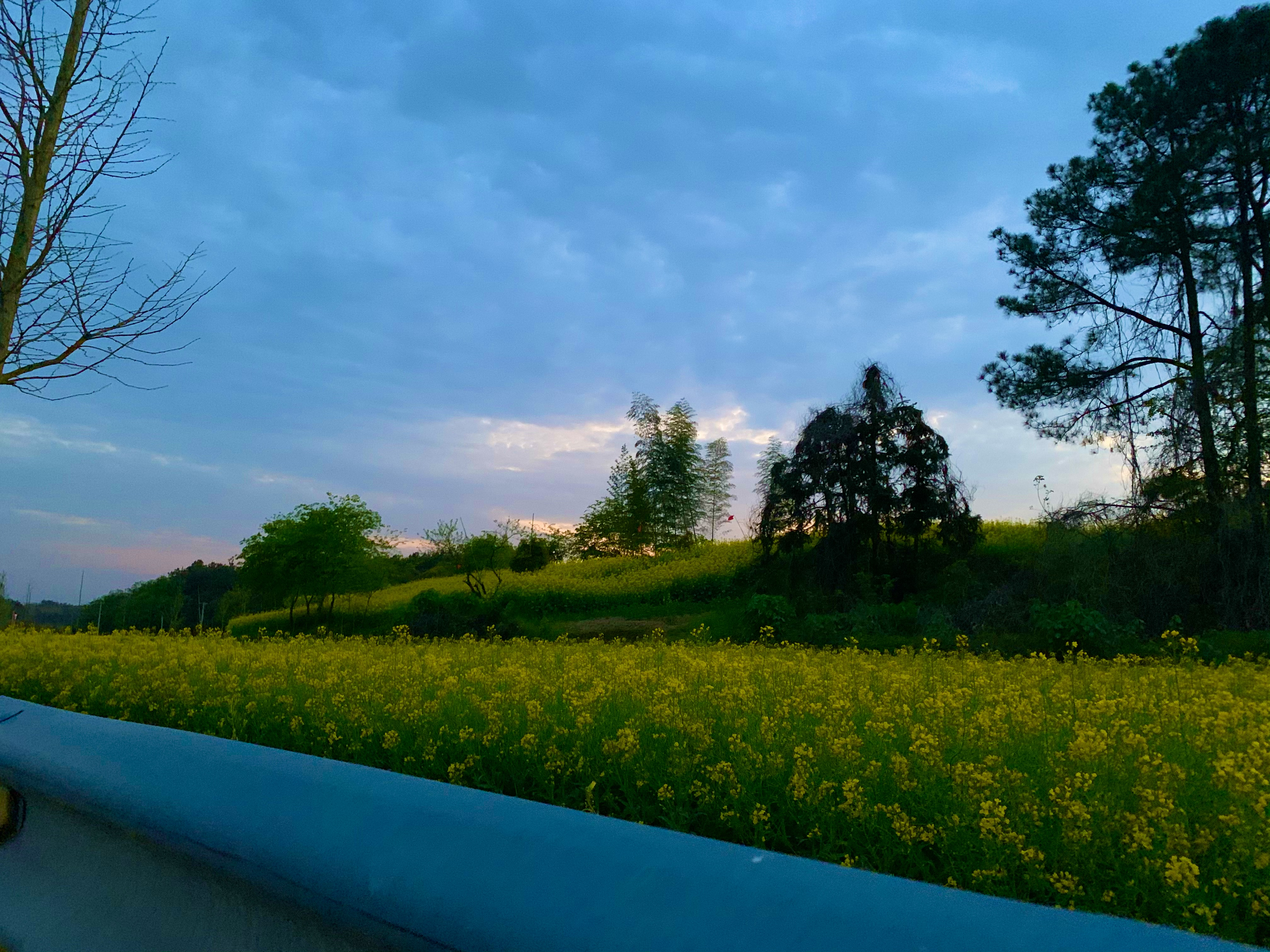 2c780da67463836f93496044f7cae2f5.png